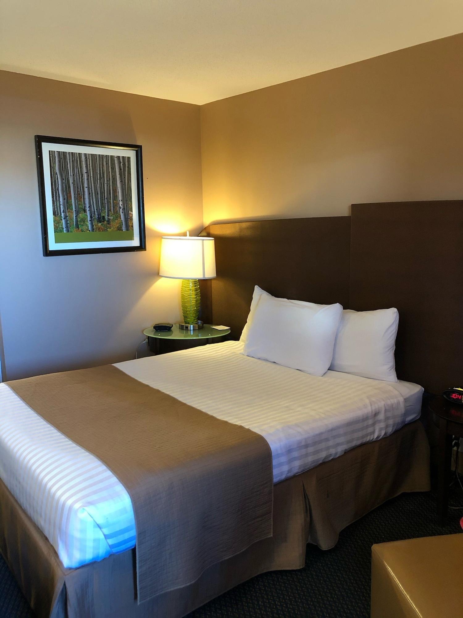 Hotel Coast 3*